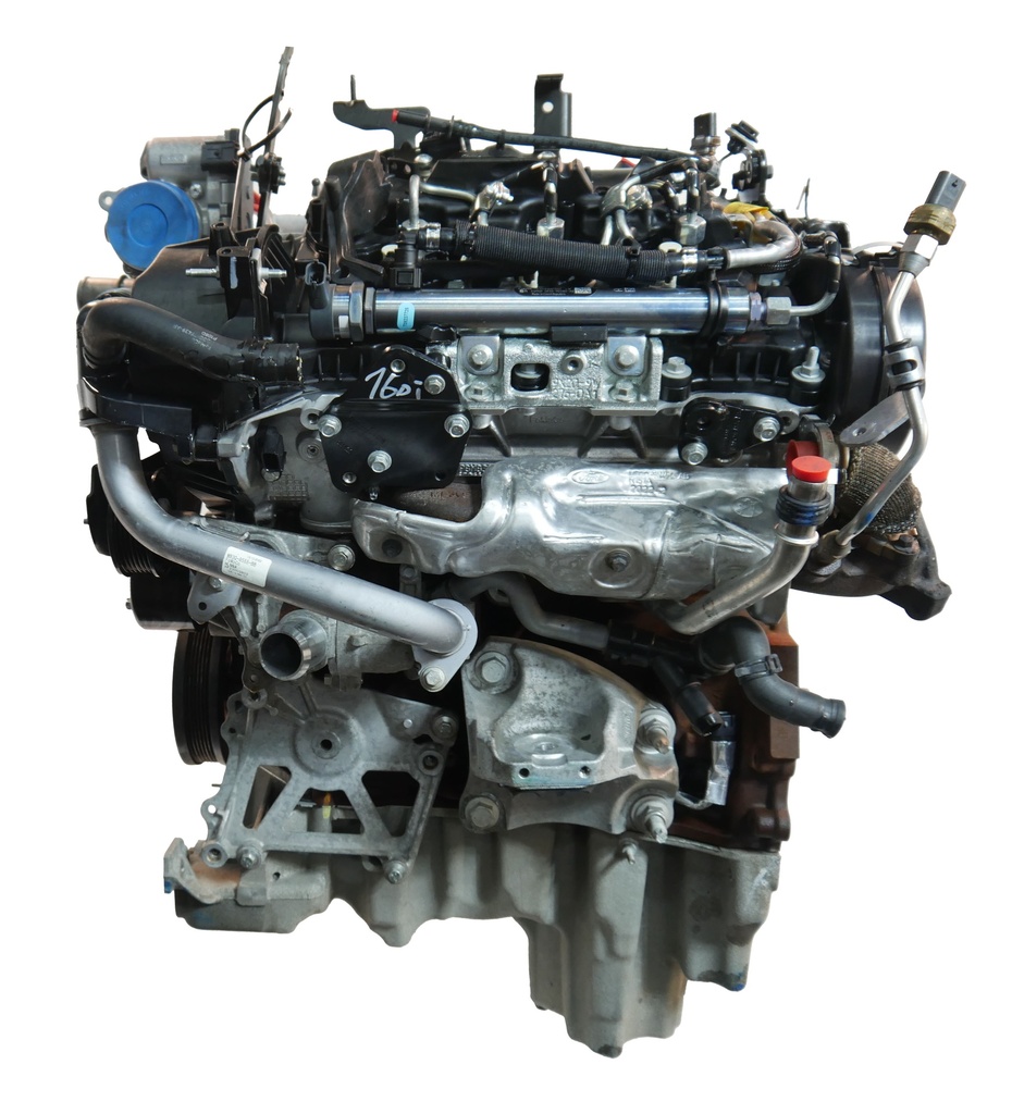 MTD-504773-1