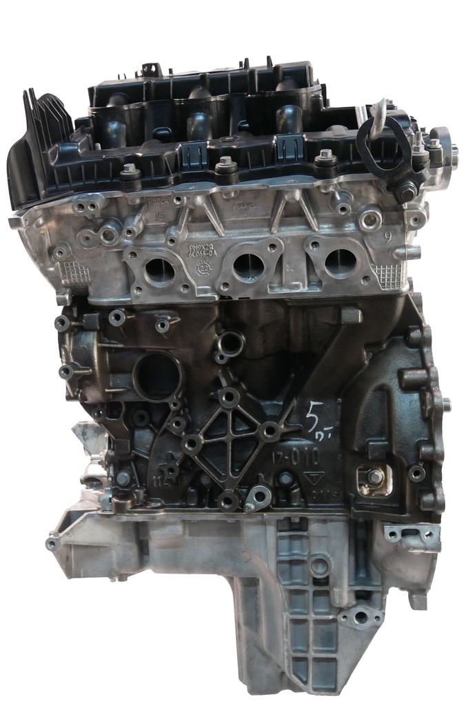 MTD-446605-1