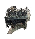 MTD-404213-1