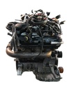 MTD-423042-1