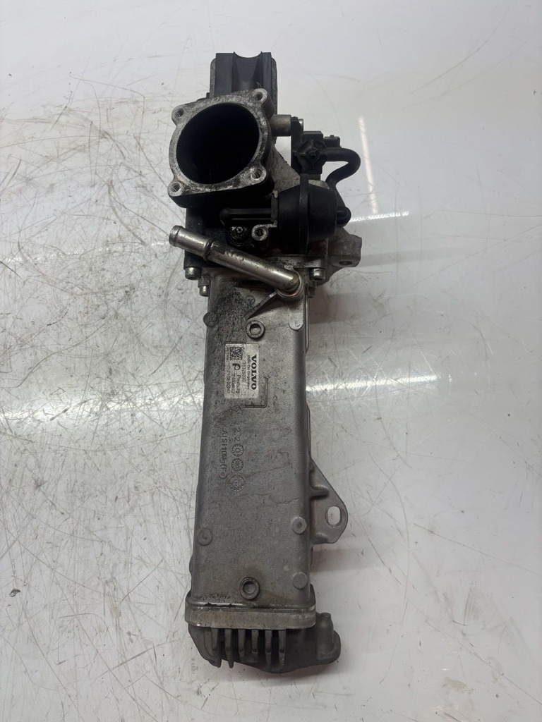 MTD-491868-1