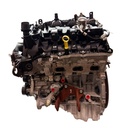 MTD-504337-1