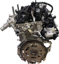 MTD-504583-1