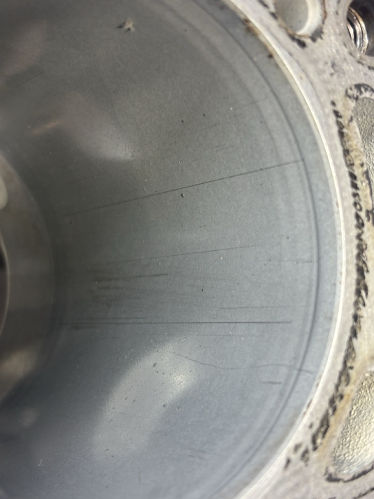 MTD-497303-17