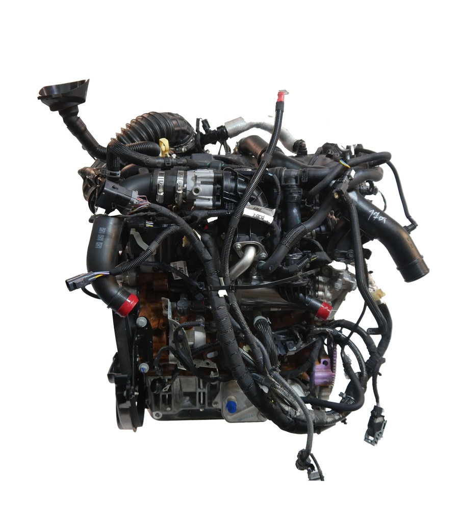 MTD-486104-2