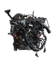 MTD-486104-2