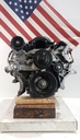 MTD-489116-1