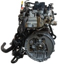 MTD-493387-2