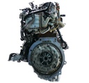 MTD-381655-3