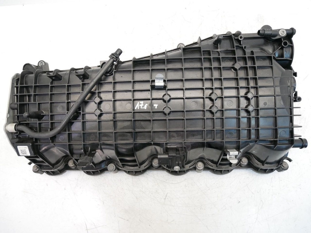 MTD-491031-1