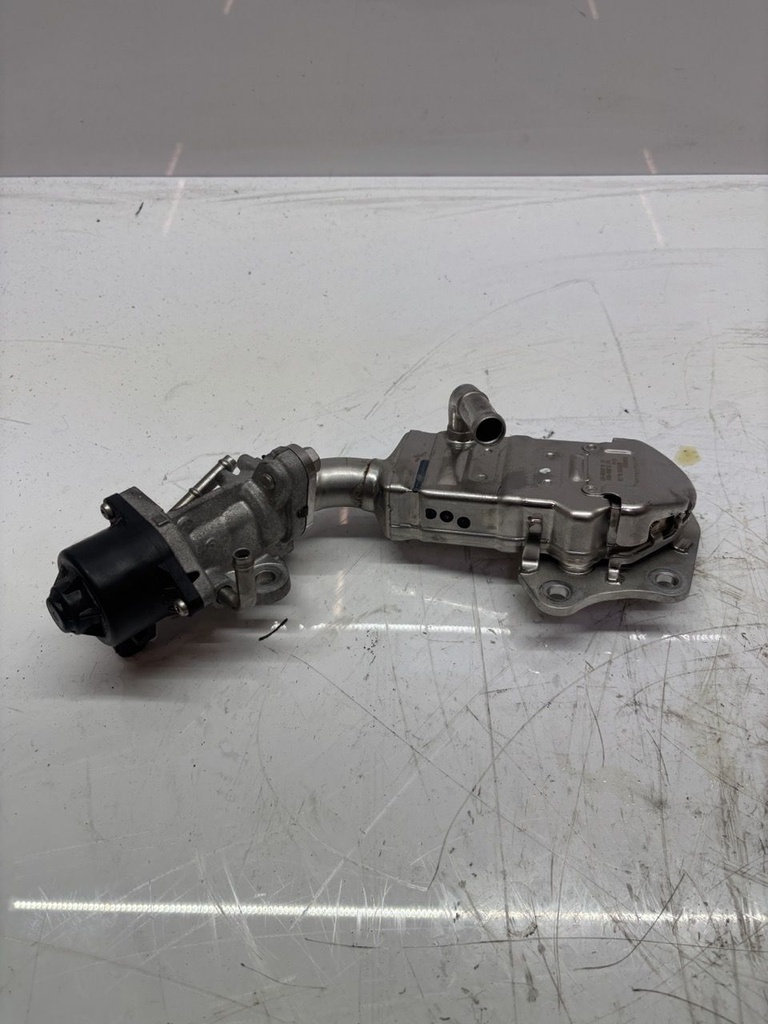MTD-496544-1