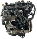 MTD-442537-2