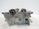 MTD-508419-1