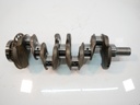 MTD-461817-1