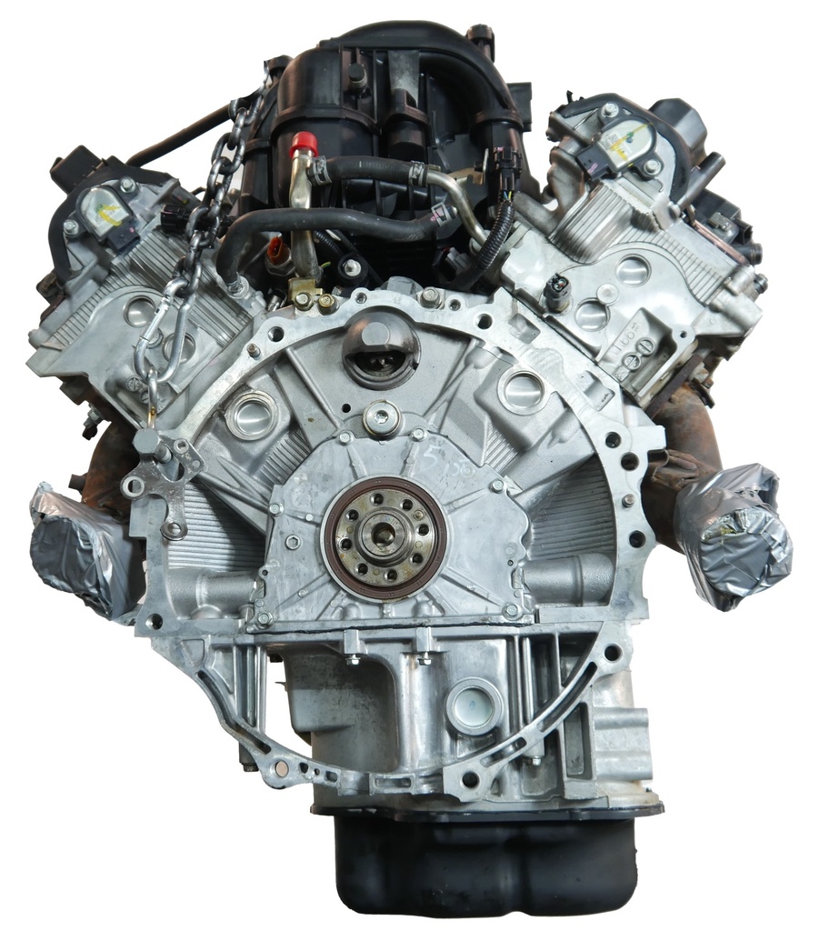 MTD-491591-1