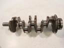MTD-467029-1