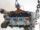 MTD-499113-2