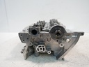 MTD-502438-1