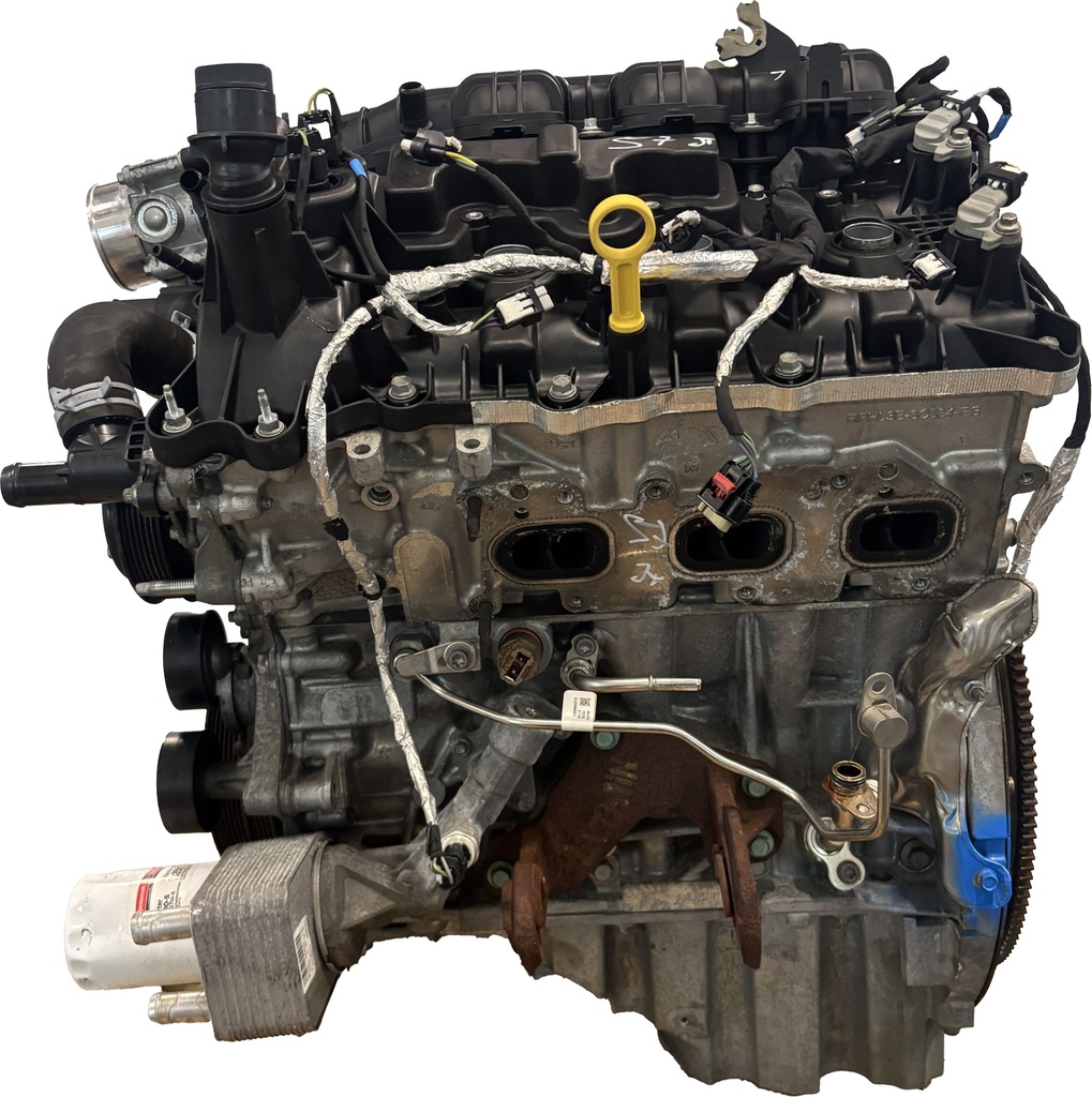 MTD-494609-2