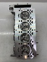 MTD-428844-5