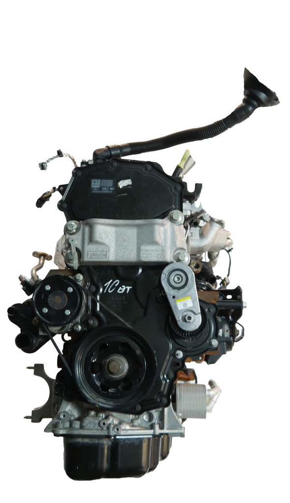 MTD-504532-2