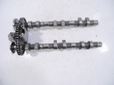 MTD-419592-1