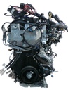 MTD-436869-1
