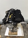 MTD-501241-1