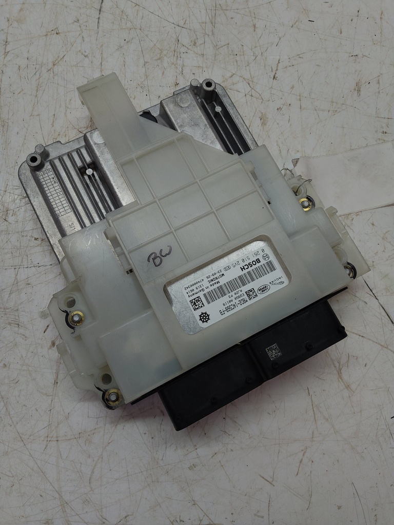 MTD-517284-1