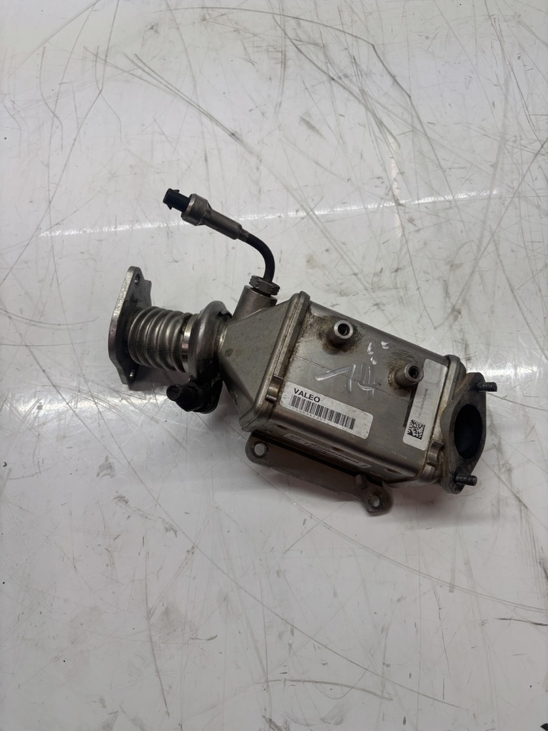 MTD-497669-1