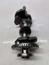 MTD-503507-1