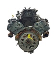 MTD-401146-2