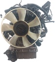 MTD-437391-3