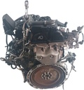 MTD-437413-1