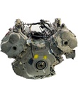 MTD-397185-1