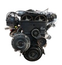 MTD-443683-4