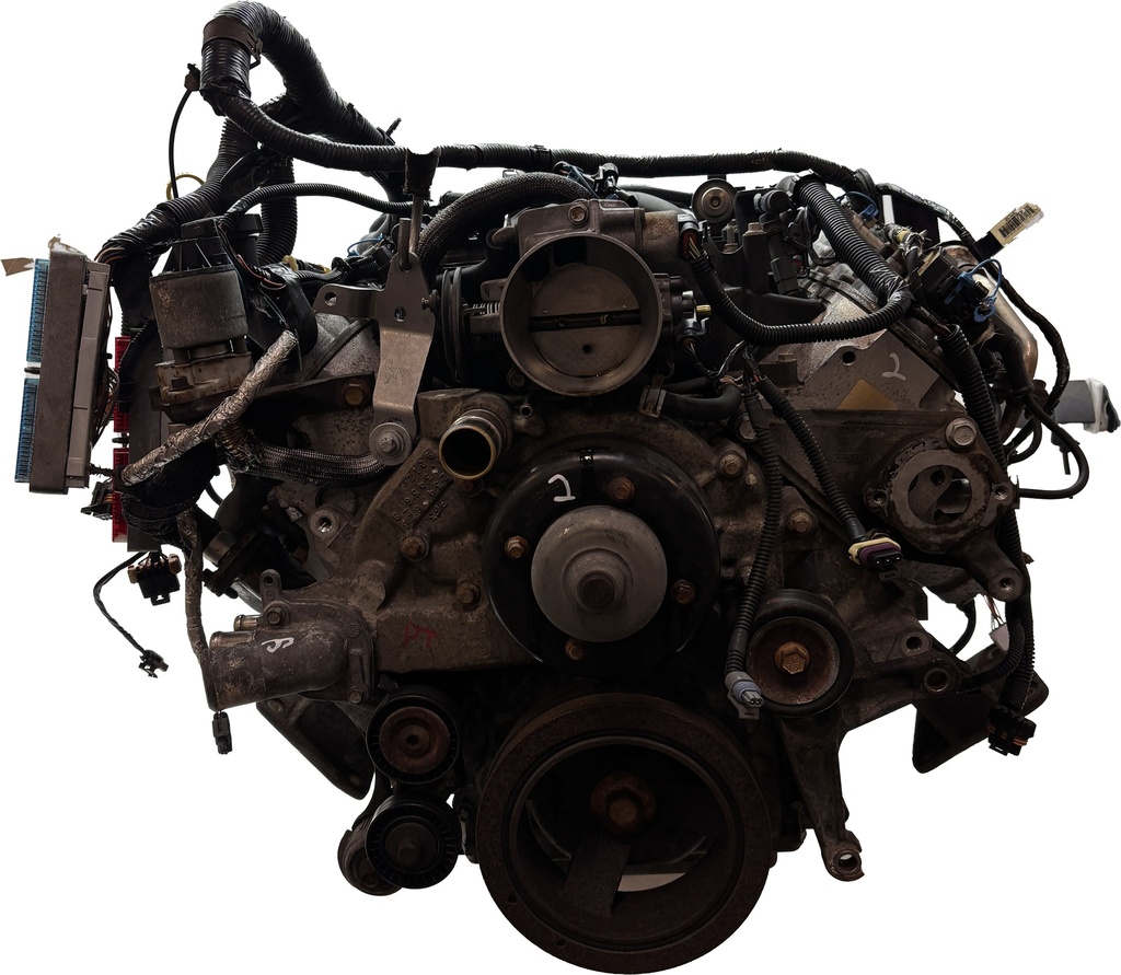 MTD-504338-2