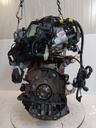 MTD-515007-1