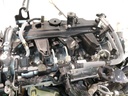 MTD-437817-4