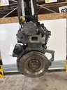MTD-516341-1