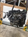 MTD-517186-2