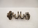 MTD-479681-1