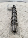 MTD-538955-1