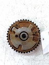 MTD-538562-1