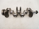 MTD-484679-1