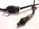 STARK-950531-1