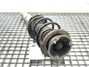 STARK-950449-2