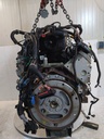 MTD-539497-3