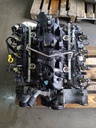 MTD-539442-1