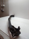 MTD-506415-2